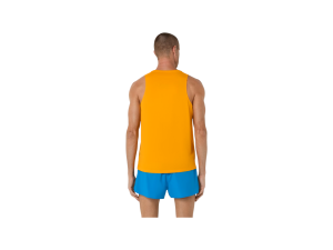 CORE SINGLET.2